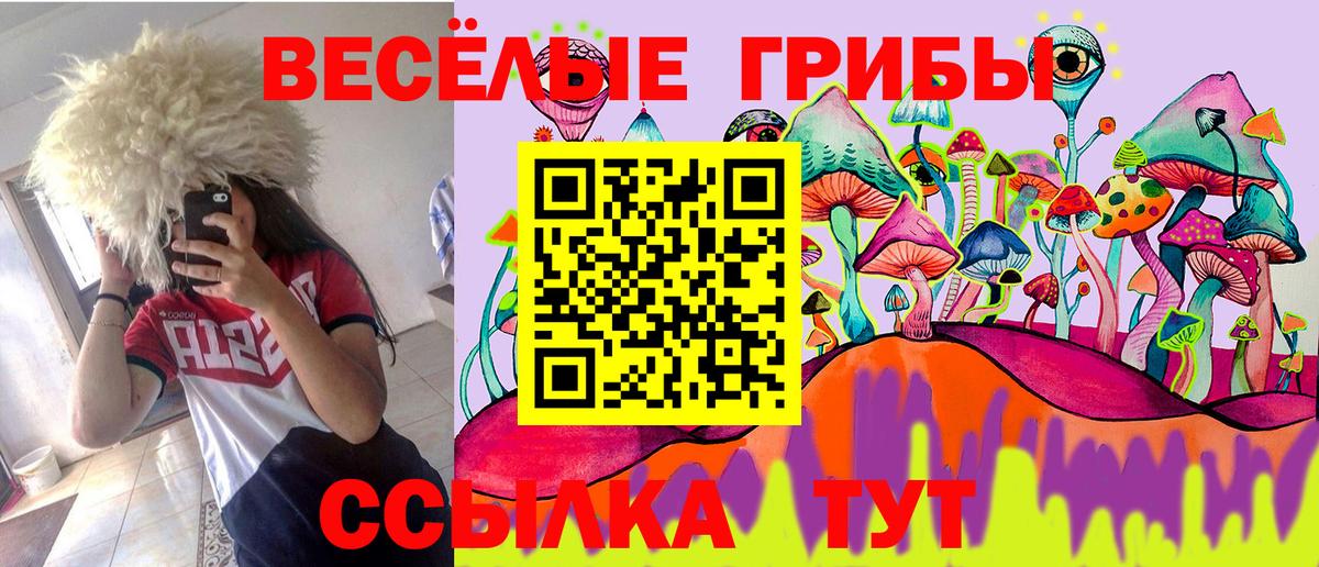Псилоцибиновые грибы прущие грибы  Вход с VPN  купить наркоту  Обь 